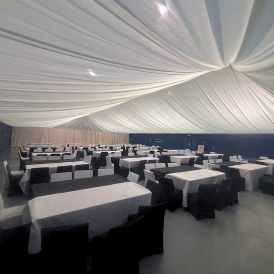 Untitled design (81)