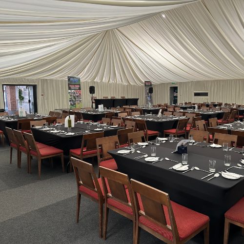 Untitled design (94)