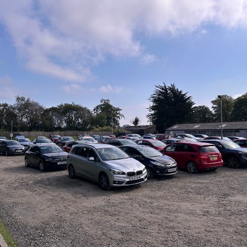 Untitled design (97)